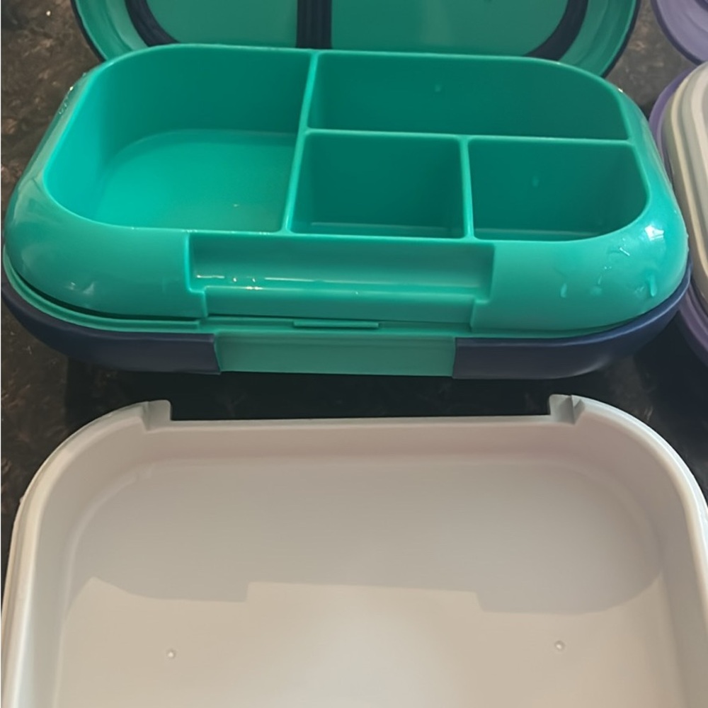 Green and White Bento Lunch Box